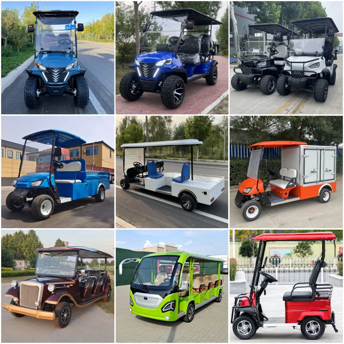 2/4/6/8 Seats Hunting Golf Cart Street Legal Electric off Road Golf Carts Car Buggy Golf Scooter Gocart