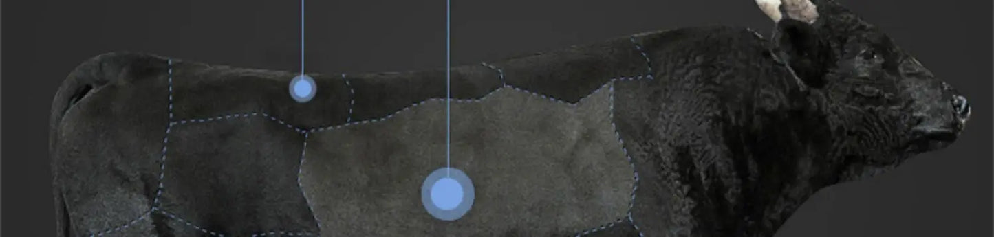 Cabinets Aesthetic Bed Reading Vanity King Massage Lounge Beds Luxury Bedroom Frame Camas Matrimoniales House Accessories