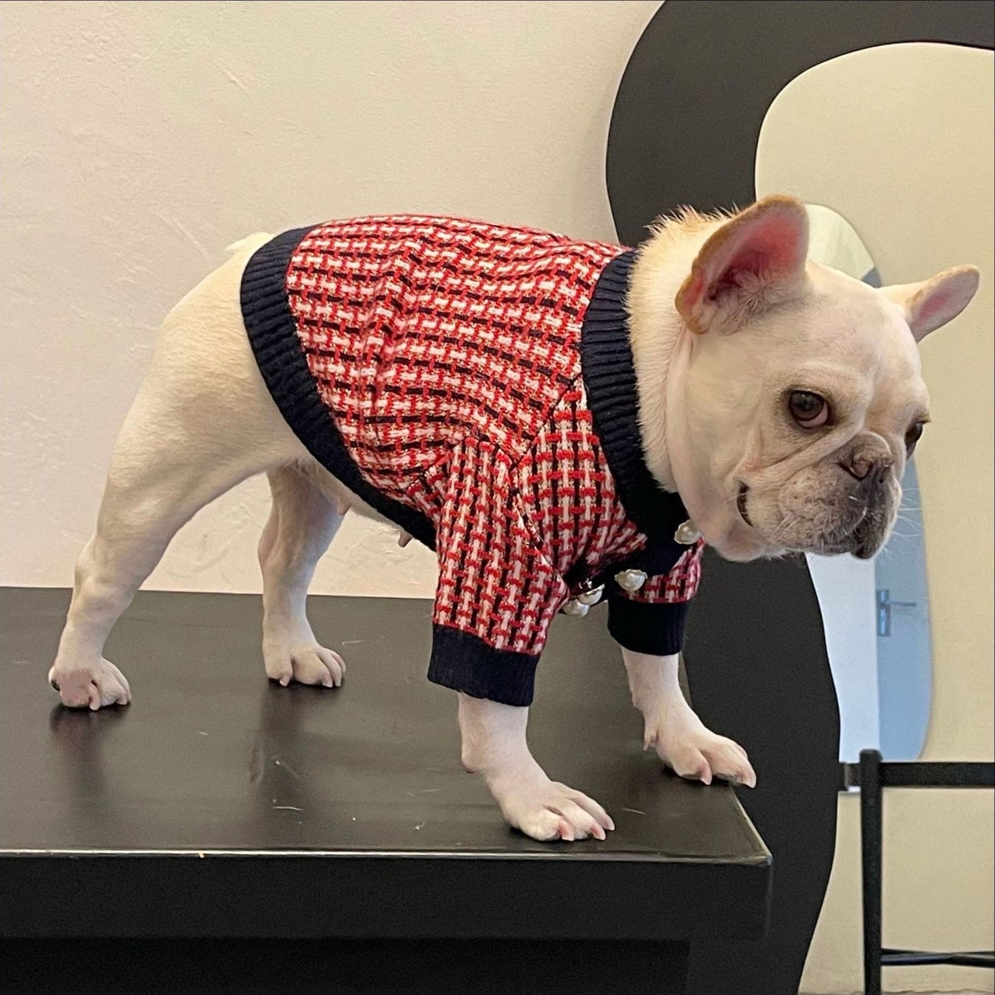 Fashion Cute Print Winter Pet Clothes Winter Sweater