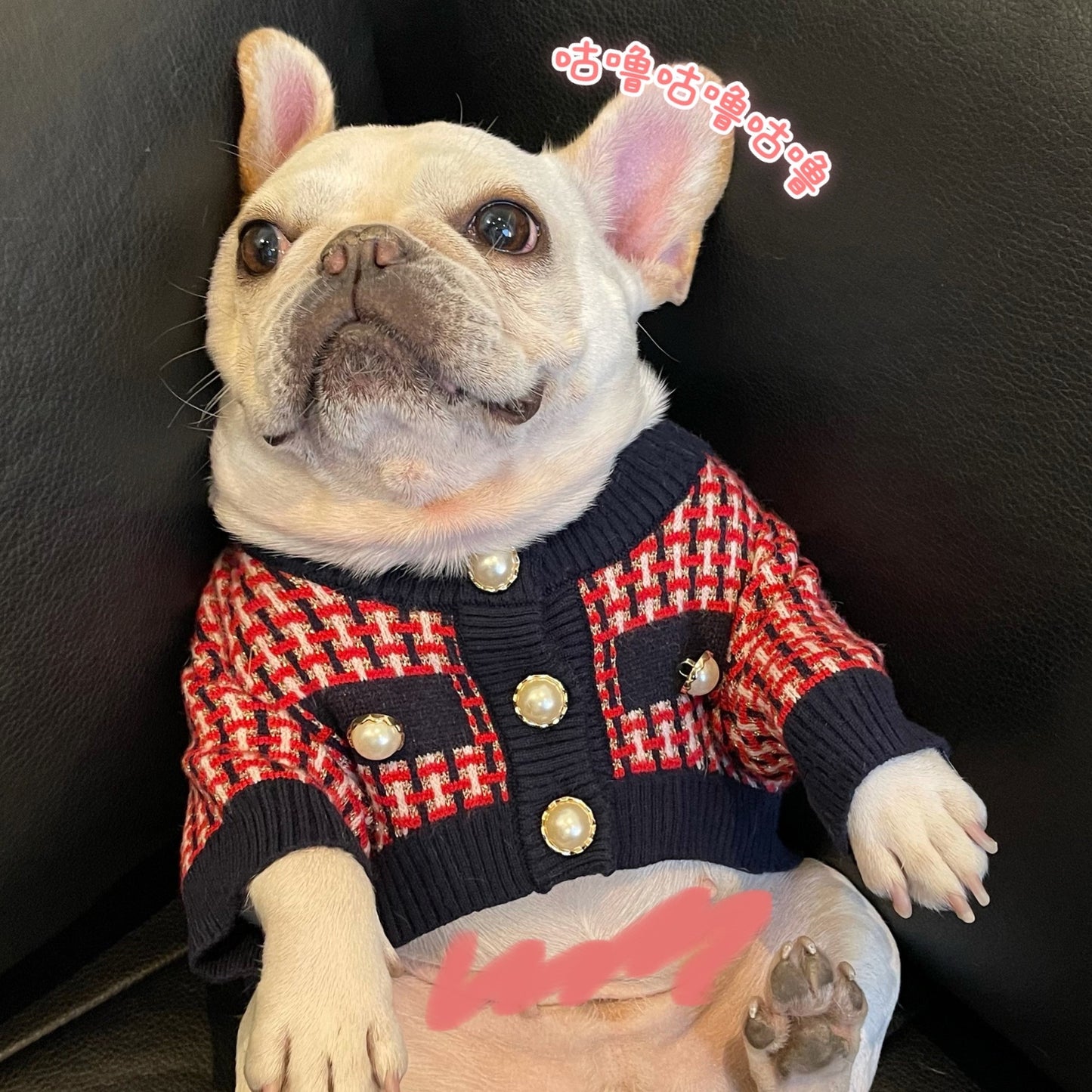 Fashion Cute Print Winter Pet Clothes Winter Sweater